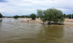 Asi Nehri taştı tarım arazileri sular altında kaldı