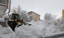 Bitlis'te dünden bu yana 215 köy yolu ulaşıma açıldı