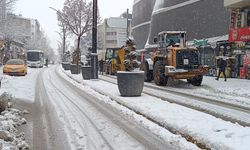 Van kent merkezi beyaz örtüyle kaplandı