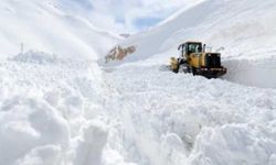 Van'da yoğun kar yağışı ve tipi etkili oluyor