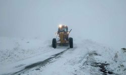 Erzurum ve Ardahan'da 15 yerleşim yolu ulaşıma kapandı