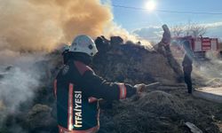 Malatya'da tonlarca saman küle döndü