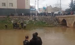 Mardin’de dere kenarında bir genç ölü bulundu