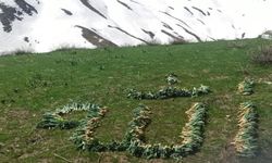 Bitlis'in yaylalarında toplanan çiriş otuyla "Allah" lafzı yazıldı