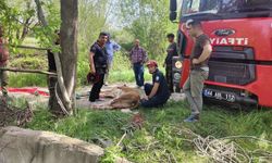 Malatya'da kuyuya düşen inek itfaiye ekipleri tarafından kurtarıldı