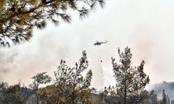 Muğla'da orman yangını 