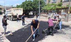 Siirt Belediyesi asfalt ve onarım çalışması başlattı