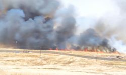 Suriye tarafındaki yangın Nusaybin’den görüntülendi