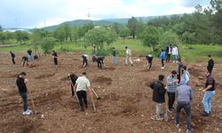 Üniversite öğrencileri "Filistin" için hatıra ormanı oluşturdu