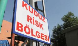 Başıboş sokak köpeğinin saldırısına uğrayan şahıs karantinaya alındı