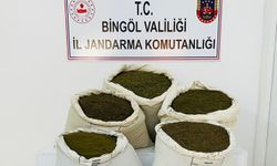 Bingöl’de 150 kilogram toz esrar ele geçirildi