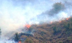 Çanakkale ve Muğla'da orman yangını