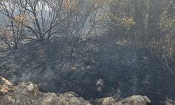 Gaziantep'te çıkan orman yangını söndürüldü