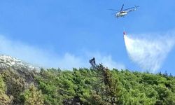 İzmir'de orman yangını 