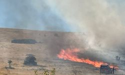 Malatya’da arazi yangını