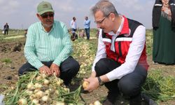 Adana İl Tarım ve Orman Müdürü Kökçüoğlu: Planlı üretim yapılacak