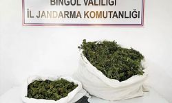 Bingöl'de 12 kilogram esrar ele geçirildi 