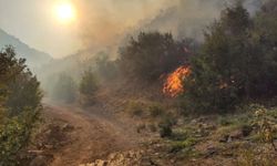 Kahramanmaraş'ta orman yangını