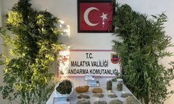 Malatya’da uyuşturucu operasyonu: 1 gözaltı