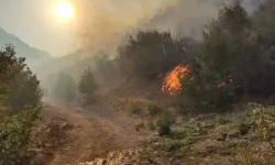 Antalya'da yıldırım nedeniyle yangın çıktı